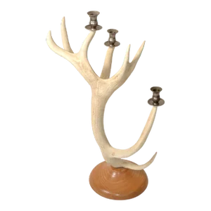 Rustic Taxidermy White Tail Deer Buck Antlers Horns Candle Holder Oak Round Base