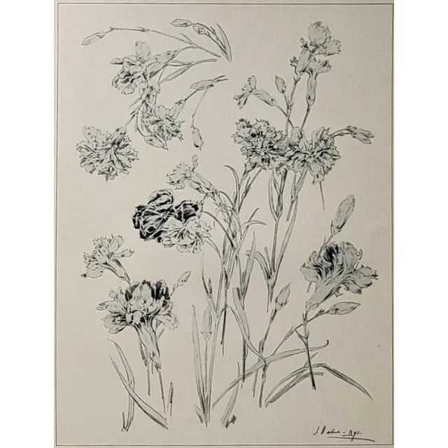C1900 Botanical Studies-Set of 3, White Lily, Geranium, Carnation For Sale - Image 9 of 12