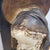 Spanish School, Virgin, 1920s, Plaster For Sale - Image 14 of 15