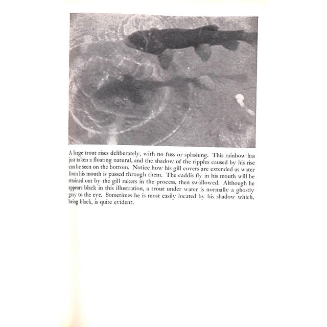 1940s "Trout Fishing" Book 1949 Holland, Dan For Sale - Image 5 of 11
