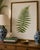 Contemporary Vintage Fern Art Print, Botanical Fern Reproduction, 12" X 18" For Sale - Image 3 of 10