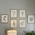 Vintage Botanical Framed Set of 6 - Authentic 1953 Prints For Sale - Image 4 of 6