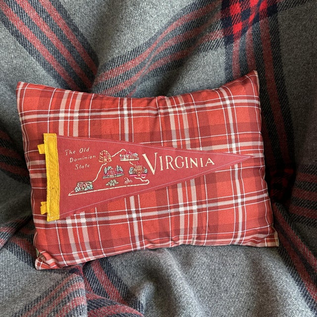 American Virginia Vintage Pennant on New Woven Fabric Throw Pillow For Sale - Image 3 of 4