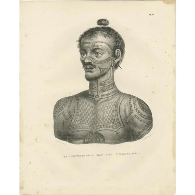 Joseph Brodtmann, A Tattooed Man from Nuku Hiva, French Polynesia, 1836, Print For Sale - Image 6 of 12