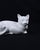 Art Deco Style Craquele White Ceramic Cat For Sale - Image 3 of 14