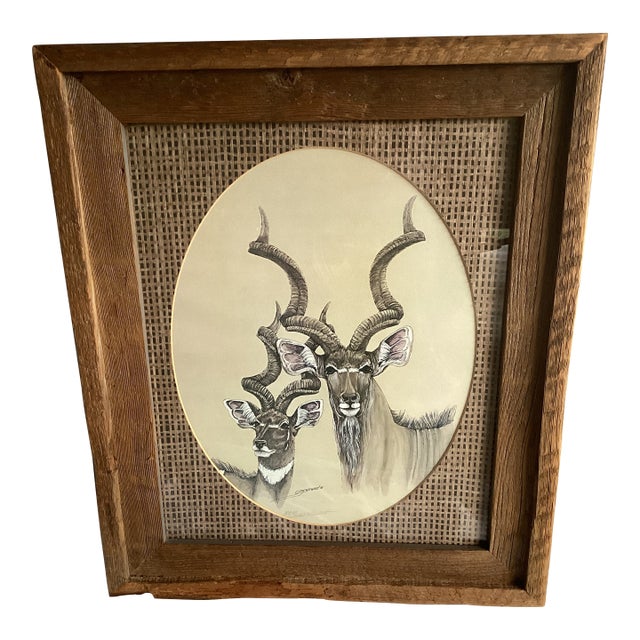 Vintage Susie Stewart Kudu Antelope Print in Rustic Barnwood and Rattan Frame For Sale