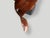 Andrianna Shamaris Mahogany Wood Sculptural Chair or Art Piece For Sale - Image 18 of 18