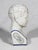 Figurative Vintage Style Porcelain Phrenology Head by l.n. Fowler / Ludgate Circus, London England For Sale - Image 3 of 7