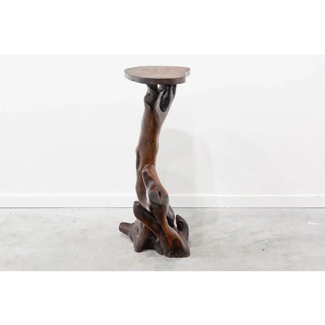 Base made of an olive tree trunk, respecting the natural shape of the tree. Polished and finished surface. It is a...