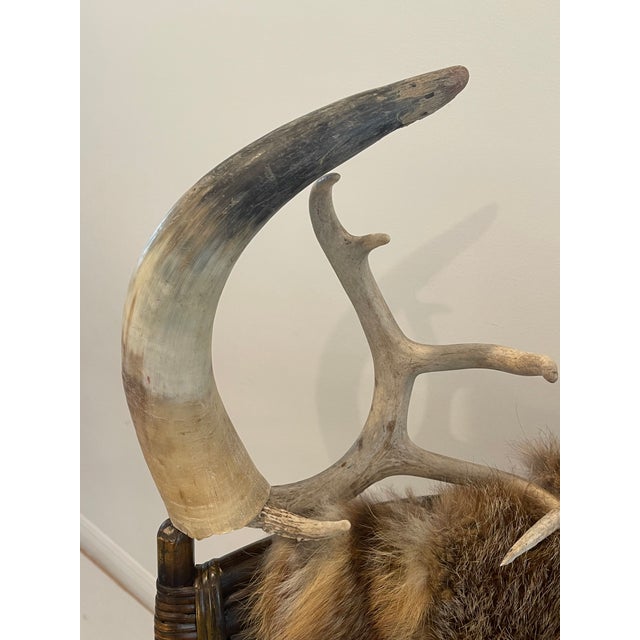 1960s Adirondack Teddy Bear Armchair Real Fox Fur Antlers Teddy Bears For Sale In Miami - Image 6 of 7