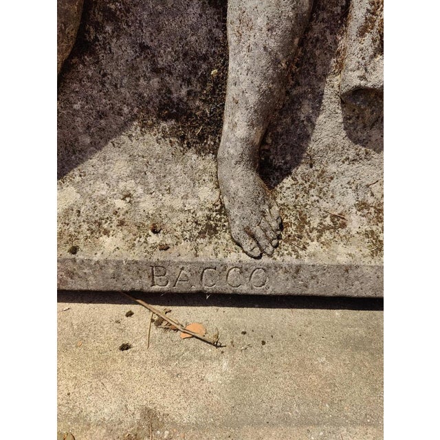 19th Century Stone Bas-Relief Depicting Bacchus, Vicenza For Sale - Image 6 of 11