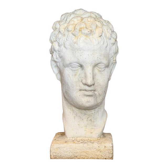 Mid-Century Italian Garden Bust For Sale