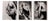 Philip Dixon, Sharon Stone for Philip Dixon, Set of 3 Original Photographs, 1990s, 1990s, Stone For Sale