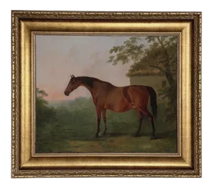 "Juno" After George Stubbs Contemporary Reproduction Print on Canvas, Large Gold Frame, 16 x 20
