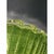 Bright "Budino" Murano glass flush mount in green graniglia. Traditional venetian working of Murano glass. White metal...