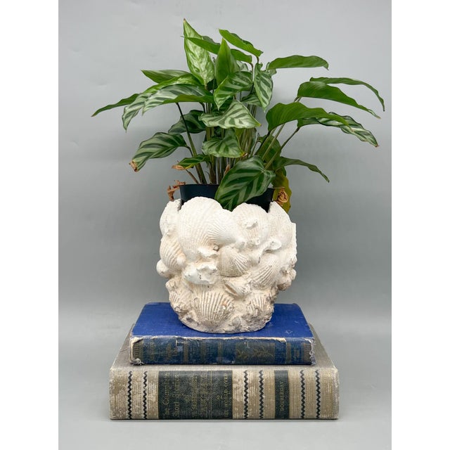 Captivating and sculptural vintage planter crafted in cast concrete and modeled in a classic coquillage shell motif. This...