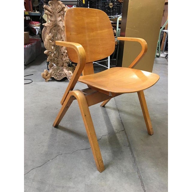 Light Yellow 1950s Attributed to Joe Atkinson for Thonet Plywood Armchairs - Set of 5 For Sale - Image 8 of 10