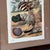 Vintage custom framed "Shell Composition II" created by Carl Hoffmann in 1858. This is a color print from plate 12 of the...