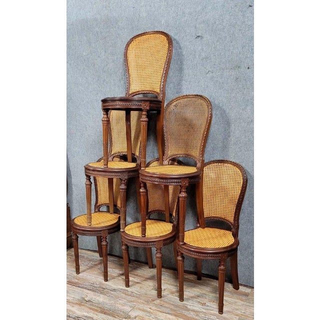 Set of six Louis XVI style mahogany "racquet" chairs, circa 1880, with cane seats and backs (one seat and one back need...
