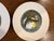 Vintage French Handpainted Marcel Guillot Owl Plates - Set of 6 For Sale - Image 4 of 12