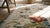 Late 19th Century 1890s White Ivory Floral Antique English Needlepoint Rug 5'9" X 12'8 Flatweave Wool Carpet For Sale - Image 5 of 7