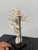 Taxidermy Mantis Shrimp in Case For Sale - Image 9 of 12