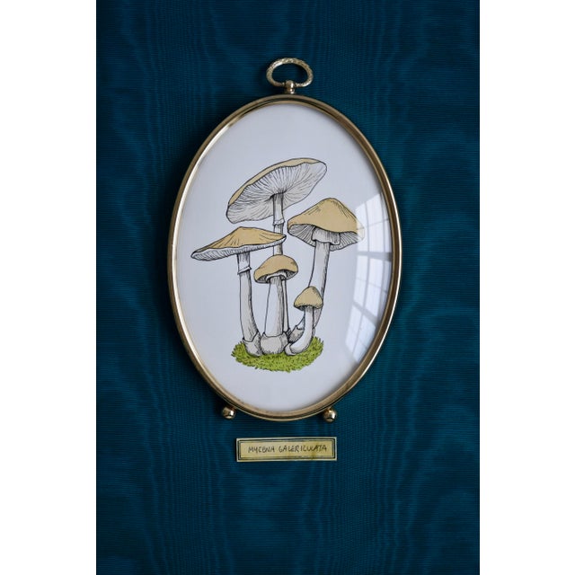 2020s Original Painting of Mushroom in Vintage Frame For Sale - Image 5 of 5
