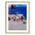 Toni Frissell 'Lobster and Crab Catch' Archival Pigment Print Framed in Brown For Sale
