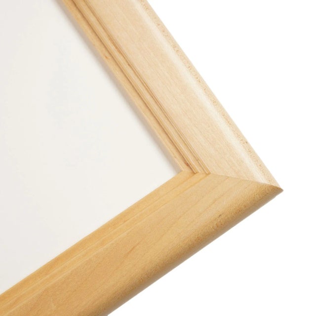 Green Framed Pair of Prints From “The Ferns of North America" by Daniel Cady Eaton, 1879 For Sale - Image 8 of 12