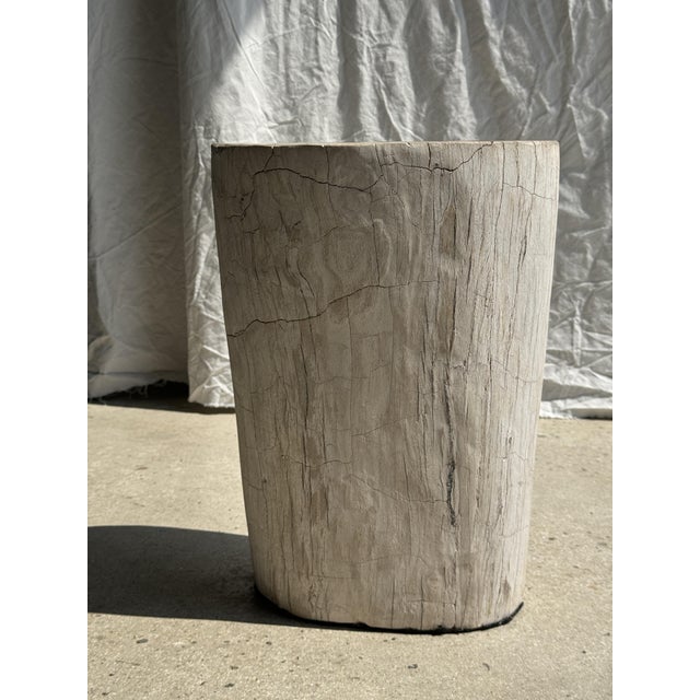 White Side Table in White Petrified Wood with Black Spots For Sale - Image 8 of 18