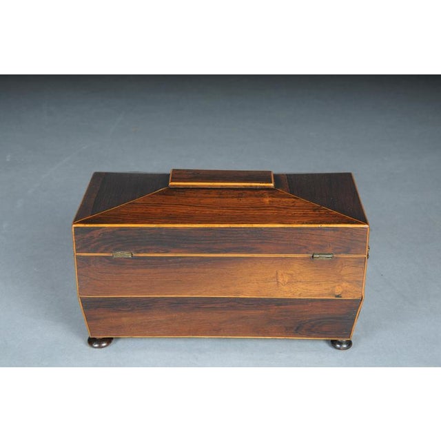 Wood Antique English Regency Box, 1830s For Sale - Image 7 of 17
