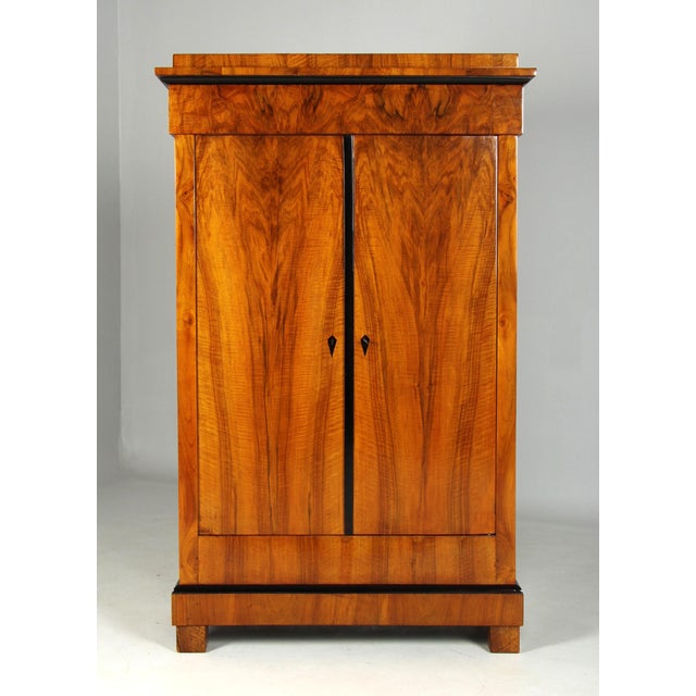 Biedermeier Walnut Wardrobe, 1820s For Sale - Image 9 of 9