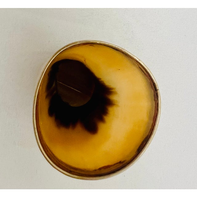 Brown Natural Horn Cup With Silvered Rim For Sale - Image 8 of 8