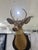 Whitetail Deer Head Shoulder Mount Taxidermy With hoofs For Gun Holder 35x23 Unusual amount with Hoofs attached to the...