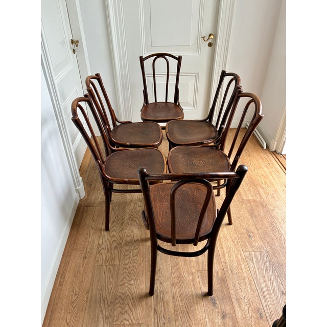 Wood No 56. Chairs by Michael Thonet for Gebrüder Thonet, 1920s, Set of 6 For Sale - Image 7 of 14