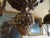 Late 19th Century 19th Century French Silvered Bronze Chandelier For Sale - Image 5 of 13