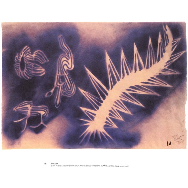 Paper "Workbook" 2004 Doner, Michele Oka For Sale - Image 7 of 11