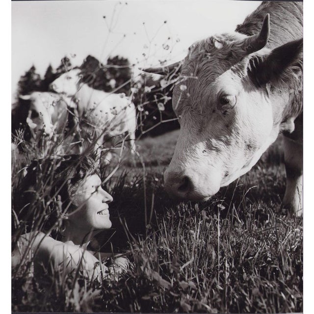 Woman and Cow, 1955, Original Vintage Black & White Photograph For Sale - Image 3 of 3