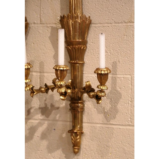 Pair of Vintage French Louis XVI Style Carved Giltwood Three-Light Wall Sconces For Sale In Dallas - Image 6 of 9