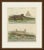 This antique crocodile print shows two crocodilians on the banks of a river, the first with an Egyptian pyramid rising...