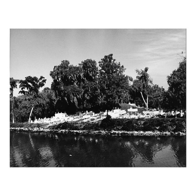1970 Bayou Graveyard Near New Orleans Photograph by Don Ware For Sale