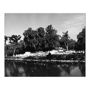 1970 Bayou Graveyard Near New Orleans Photograph by Don Ware