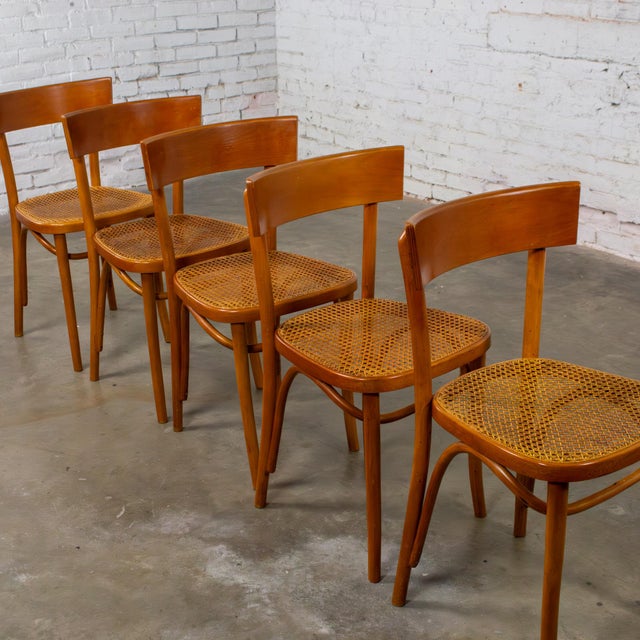 Mid to Late 20th Century Bauhaus Beech Bentwood Dining Chairs W/Cane Seats by Thonet Set of 5 For Sale - Image 14 of 18