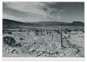 Valley, Texas, USA, 1960s, Black & White Photograph