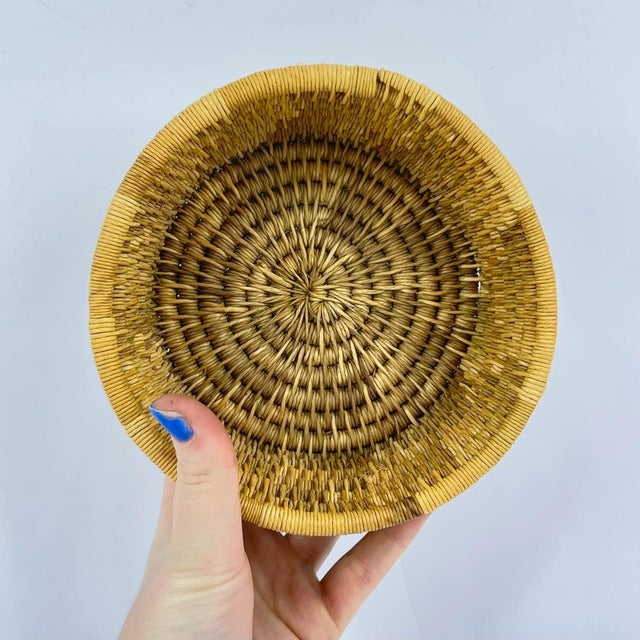 Early 20th Century Sisal Handwoven Basket Eswatini MATTER COLLECTION For Sale In Denver - Image 6 of 6