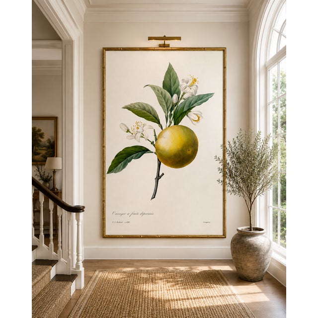 Orange by Redouté, Vintage Botanical Art Print, 40" X 60" For Sale - Image 9 of 11