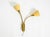 Mid-Century Modern Brass Wall Lamp with Gooseneck and Double Shade by Cosack Leuchten, 1950s For Sale - Image 4 of 18