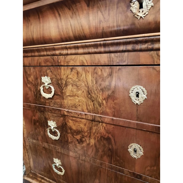 French Burled Walnut Chest of Drawers For Sale In New York - Image 6 of 13