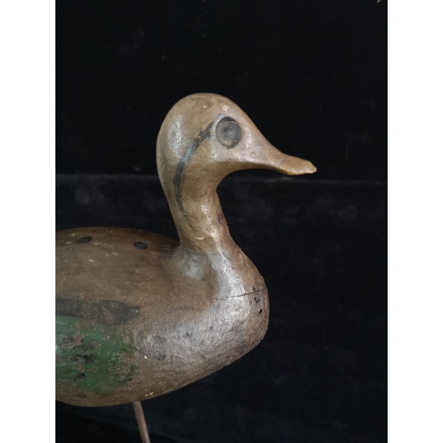 An antique primitive working duck decoy, the body is carved from a solid piece of wood. A typical example from southern...