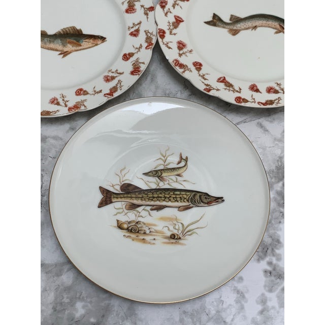 Vintage Fish Motif Side Dishes, Set of Three For Sale - Image 10 of 12